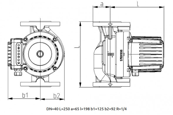Насос циркуляционный Ebara MR 40-40F с мокрым ротором H=3,5м Q=166л/мин арт. 1576000222