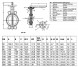 Затвор дисковый чугунный Benarmo 2050HA DN 100 PN 16 поворотный межфланцевый с рукояткой Рус