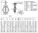 Затвор дисковый чугунный Benarmo 2051HA DN 200 PN 16 поворотный межфланцевый с рукояткой