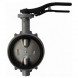 Затвор дисковый чугунный Giacomini R59W DN 65 PN 16 диск чугун поворотный межфланцевый с рукояткой